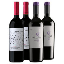 Chakana Estate Malbec - Kallune Blend 2021 x4