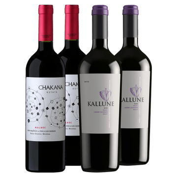 Chakana Estate Malbec - Kallune Blend 2021 x4