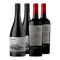 Tigerstone Malbec 2019 x2 - Penedo Borges Prisma Gran Malbec 2020 x2
