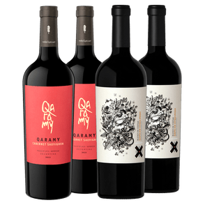 Qaramy cabernet sauv 2021 x2 - Sapo de Otro Pozo Blend de Tintas x2