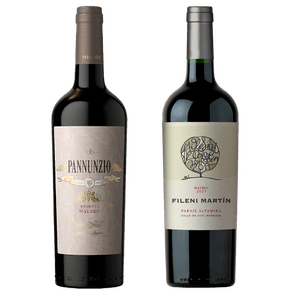 Pannunzio Reserva Malbec 2018 - Fileni Martin Malbec 2021 x 2 botellas