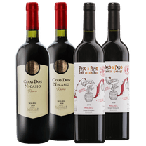 Cavas Don Nicasio Reserva Malbec 2020 - Paso a Paso Vino de Garage Malbec 2018