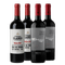 Penedo Borges Cepas Malbec 2020 x2- Fuego Blanco Malbec 2022 x2