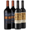 Casarena Apellation Agrelo Malbec 2021 - Famiglia Bianchi Malbec 2021 x 4