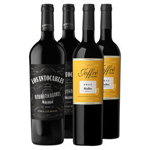 Los Intocables Malbec 2021 - Joffre e Gijas Gran Malbec 2021 x 4