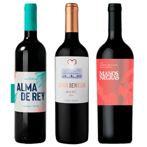 Manos Negras Corte Singular 2021 - Juan Benegas Malbec 2021 - Alma del Rey Malbec 2022