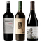 Palo Santo Malbec 2021-Durigutti Corte Unico 2021-Tierra de Lechuzas Bonarda Malbec 2021