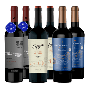 Penedo Borges - Cafayate Terroir - Doña Paula