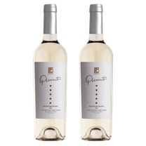 Quinto Sauvignon Blanc
