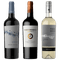 Anaia Cabernet Sauvignon 2018 - Gauchezco Reserve Malbec Cabernet Sauvignon - Penedo Borges Cepas Sauvignon Blanc 2022 x 3 botellas
