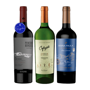 Penedo Borges - Cafayate Torrontes - Doña Paula x3