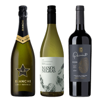 Bianchi Singular Espumante Brut Nature - Manos Negras Chardonnay 2021 - Quinto Reserva 2020 Malbec PV X 3