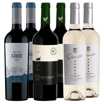 Quinto Sauvignon Blanc x2 - Andeluna 1300 Merlot 2021 x2 - Perro Callejero Malbec Organico Singular x2