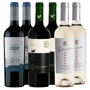 Quinto Sauvignon Blanc x2 - Andeluna 1300 Merlot 2021 x2 - Perro Callejero Malbec Organico Singular x2