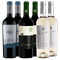 Quinto Sauvignon Blanc x2 - Andeluna 1300 Merlot 2021 x2 - Perro Callejero Malbec Organico Singular x2