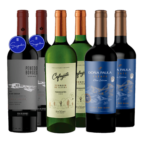 Penedo Borges - Cafayate Torrontes - Doña Paula