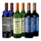 Penedo Borges - Cafayate Torrontes - Doña Paula