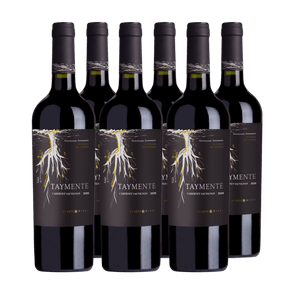 Taymente Black Cabernet Sauvignon 2020 x 6