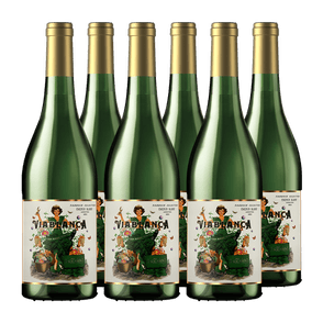 Via Blanca Terroir Selection Chenin Blanc 2021 x 6