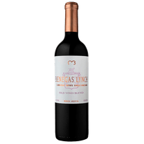 Benegas Lynch Old Vines