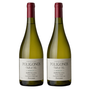 zuccardi